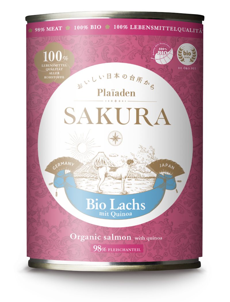 Bio Lachs mit Quinoa